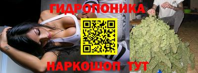 гидропоника Гусь-Хрустальный